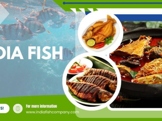 fresh-raw-fish-delivery-service-by-india-fish-company-in-delhi-ncr