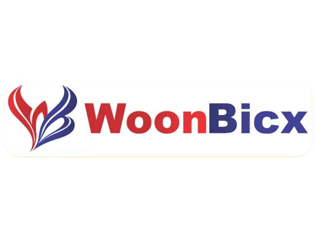 digital-marketing-institute-in-sant-nagar-burari-woonbicx