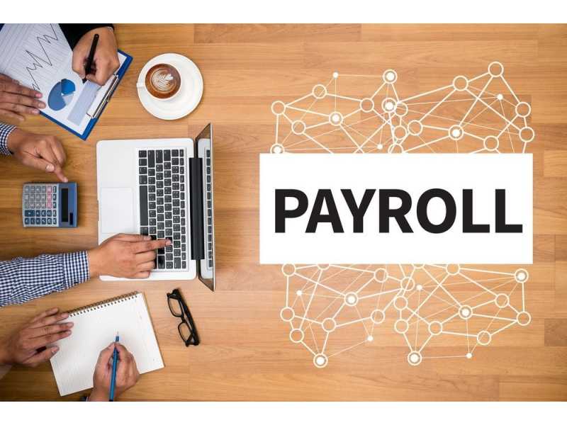paperless-payroll-services-in-india-simplify-salary-compliance-small-0