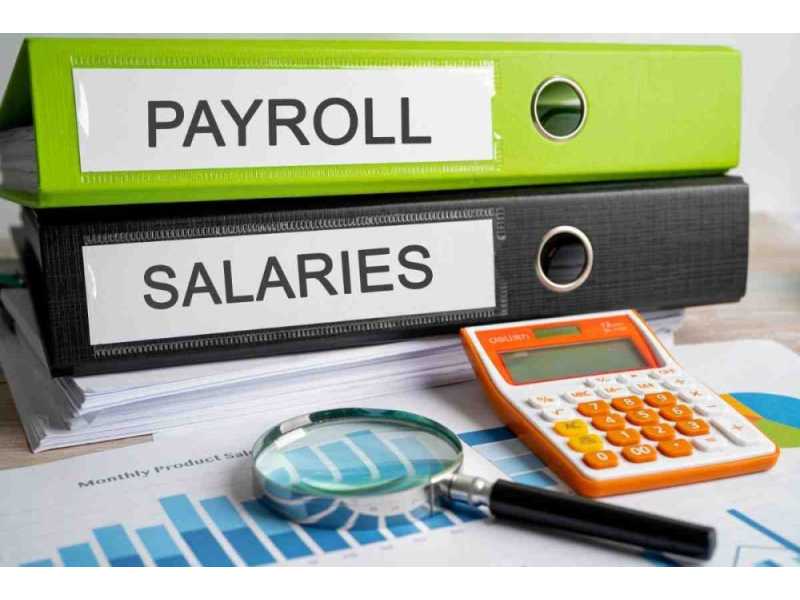 top-payroll-outsourcing-services-in-india-affordable-compliant-payroll-small-0