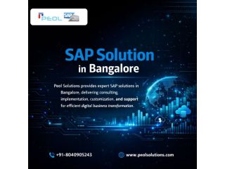 sap-solution-in-bangalore-sap-services-in-india-small-0
