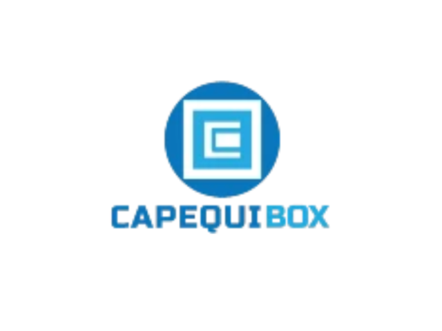 high-performance-conductive-coatings-by-capequi-box-for-indias-tech-revolution