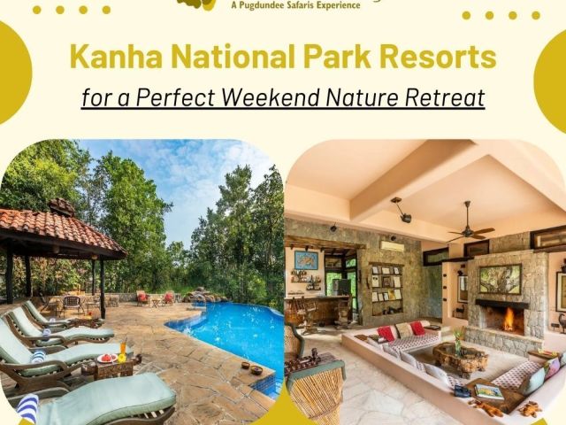 kanha-national-park-resorts-for-wildlife-luxury-stay