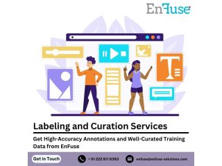 get-high-accuracy-annotations-and-well-curated-training-data-from-enfuse-small-0