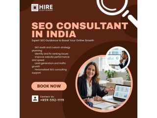 seo-consultant-in-india-small-0