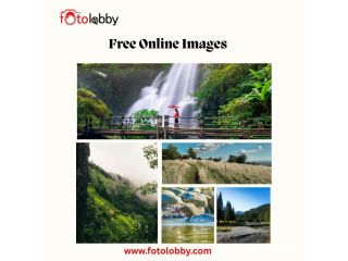 free-online-images-fotolobby-small-0