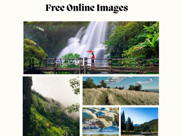free-online-images-fotolobby