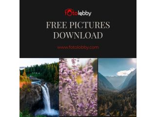 free-pictures-download-fotolobby-small-0