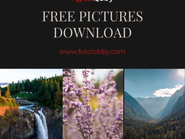 free-pictures-download-fotolobby
