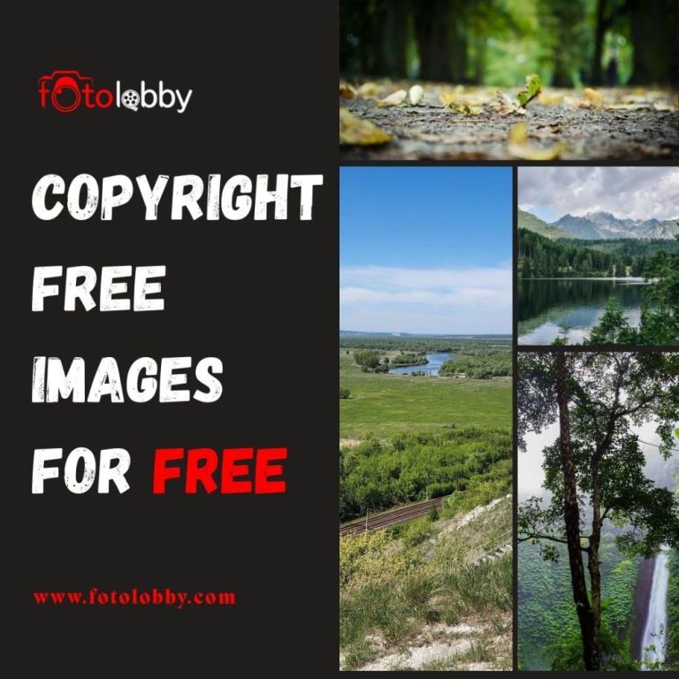 copyright-free-images-for-free-fotolobby-big-0
