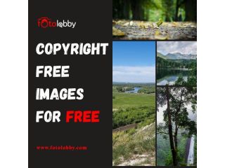 copyright-free-images-for-free-fotolobby-small-0