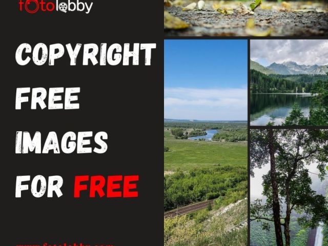 copyright-free-images-for-free-fotolobby