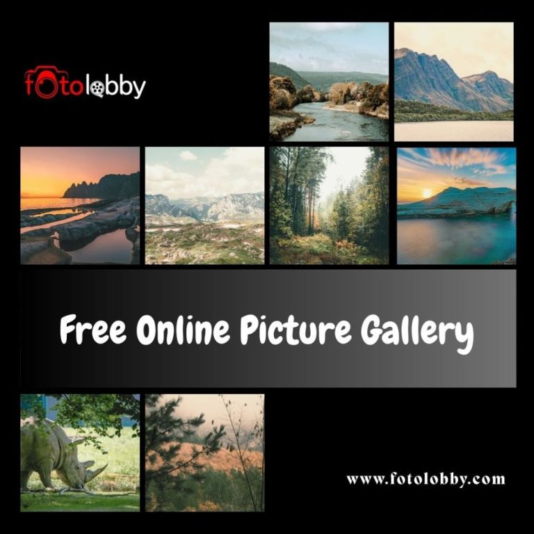 free-online-picture-gallery-fotolobby-big-0