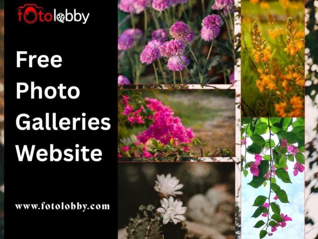 free-photo-galleries-website-fotolobby