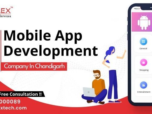 mobile-app-development-company-in-chandigarh-duplex-technologies-service