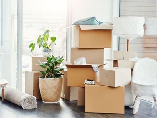 best-movers-and-packers-in-rajkot