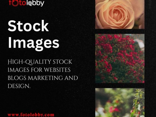 stock-images-fotolobby