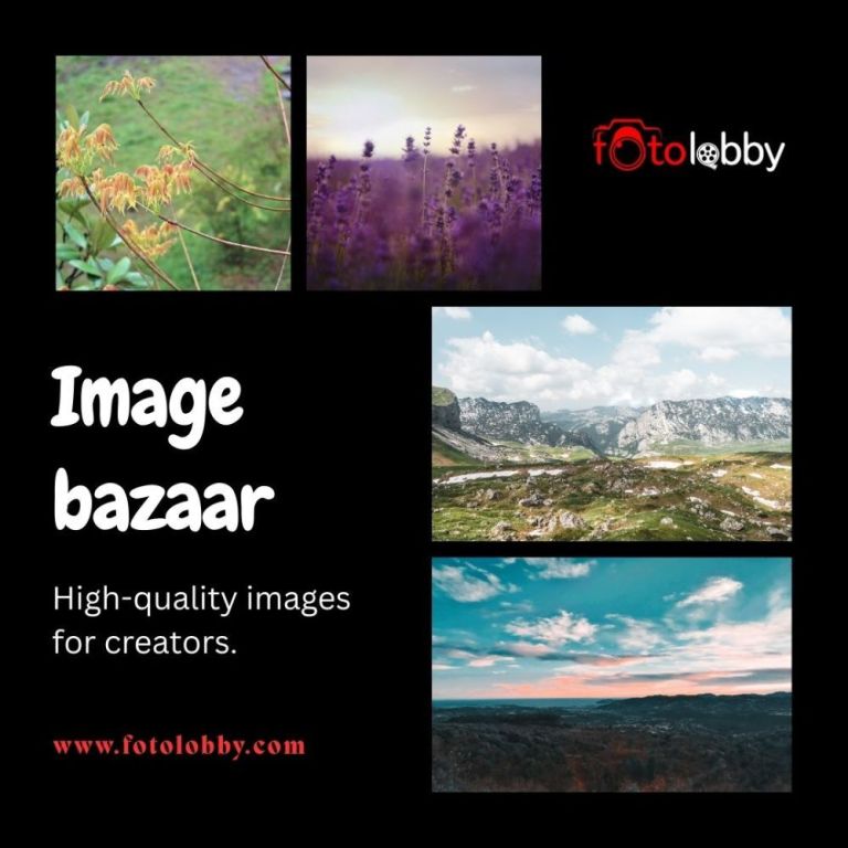 image-bazaar-fotolobby-big-0