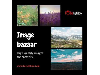 image-bazaar-fotolobby-small-0