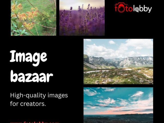 image-bazaar-fotolobby