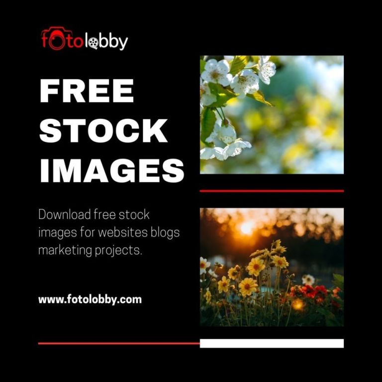 free-stock-images-fotolobby-big-0