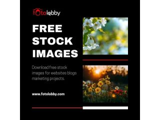 free-stock-images-fotolobby-small-0