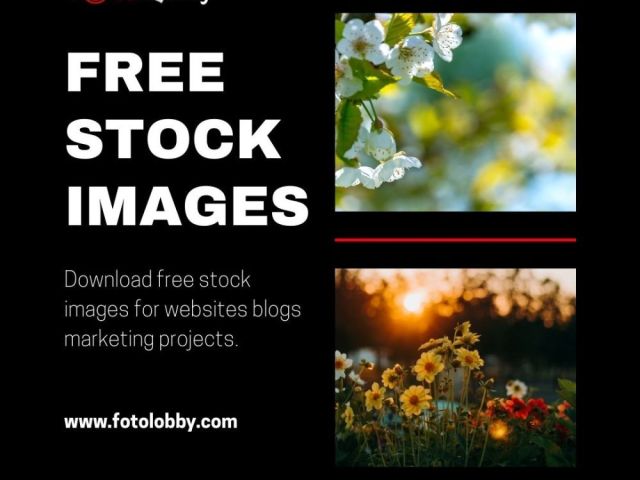 free-stock-images-fotolobby