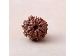 10-mukhi-rudraksha-price-certified-energized-bead-small-0