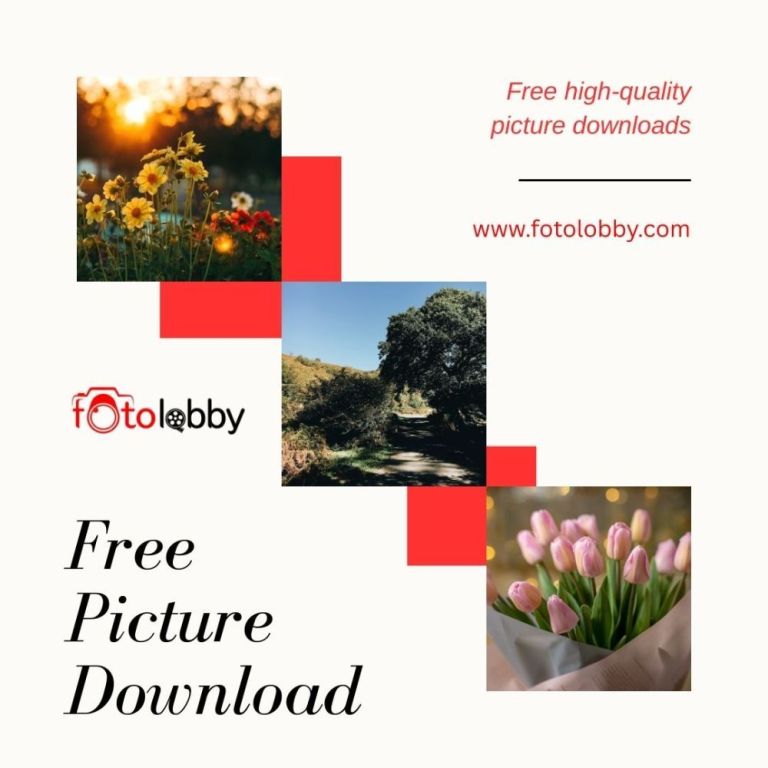 free-picture-download-fotolobby-big-0