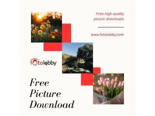 free-picture-download-fotolobby-small-0