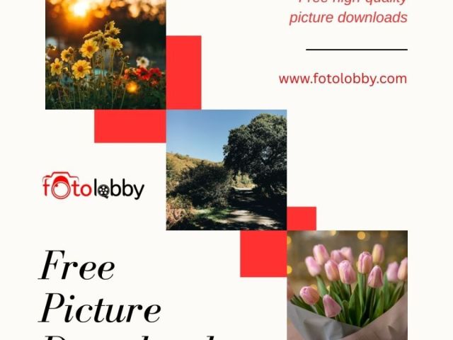 free-picture-download-fotolobby