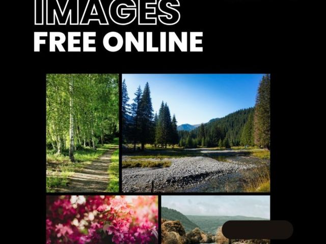 images-free-online-fotolobby