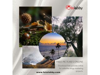 free-pictures-online-fotolobby-small-0