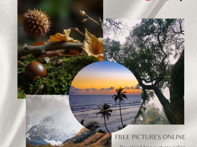 free-pictures-online-fotolobby