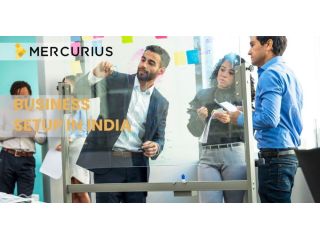 comprehensive-india-market-entry-corporate-setup-advisory-small-0