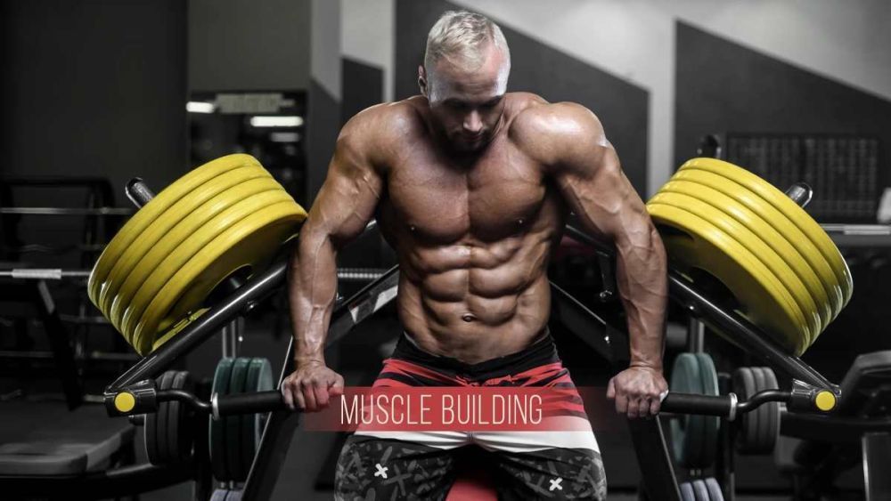 intense-muscle-building-workout-at-the-gym-big-0