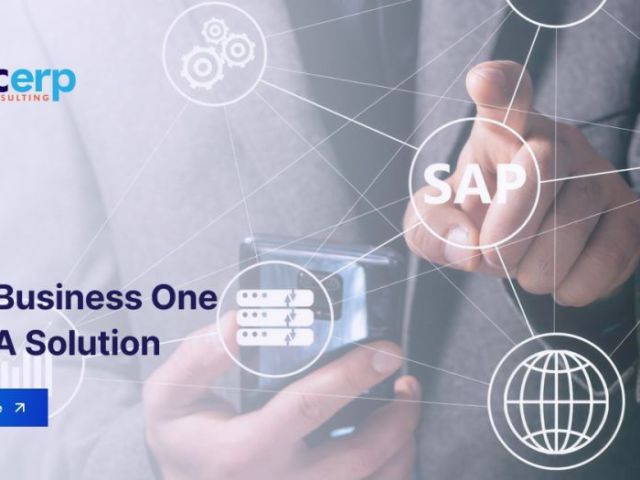 sap-business-one-version-for-hana-fast-analytics-reporting