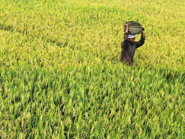 thanal-trust-climate-sustainability-action-in-kerala
