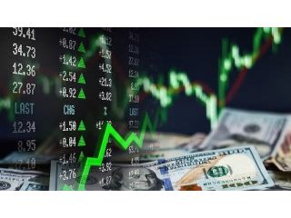 best-algo-trading-software-in-india-bull8-algo-small-2