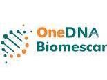 genetic-testing-for-disease-accurate-dna-screening