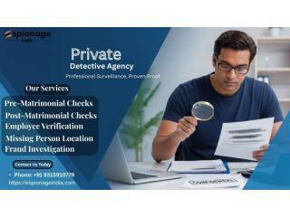 detective-agency-in-jaipur-trusted-experts-small-0