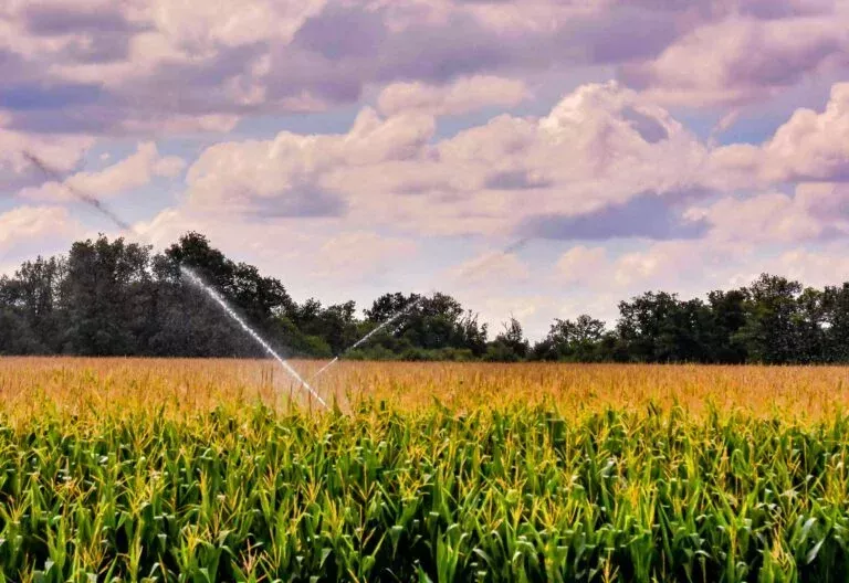 advanced-agricultural-sprinkler-systems-in-madhya-pradesh-big-0