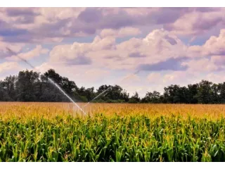 advanced-agricultural-sprinkler-systems-in-madhya-pradesh-small-0
