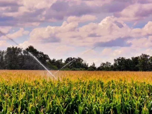 advanced-agricultural-sprinkler-systems-in-madhya-pradesh