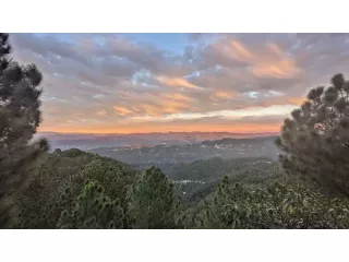 luxury-villas-in-kasauli-with-private-pool-for-rent-small-0