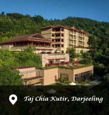 mountain-views-and-tea-moments-at-taj-chia-kutir-big-0
