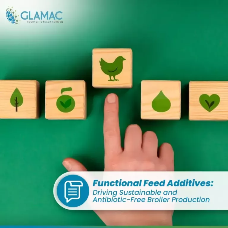 anticoccidial-rotation-for-poultry-health-big-0