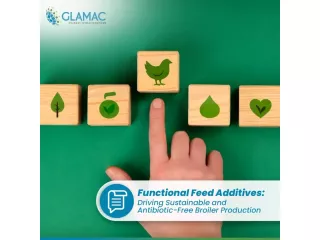 anticoccidial-rotation-for-poultry-health-small-0