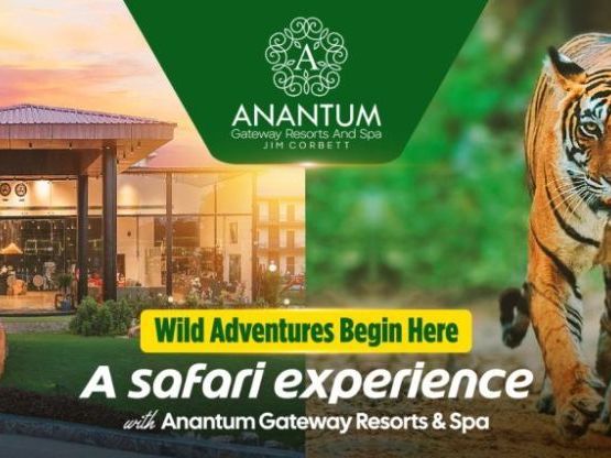 where-to-stay-for-the-best-safari-experience-in-jim-corbett