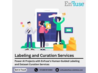 power-ai-projects-with-enfuses-labeling-services-small-0